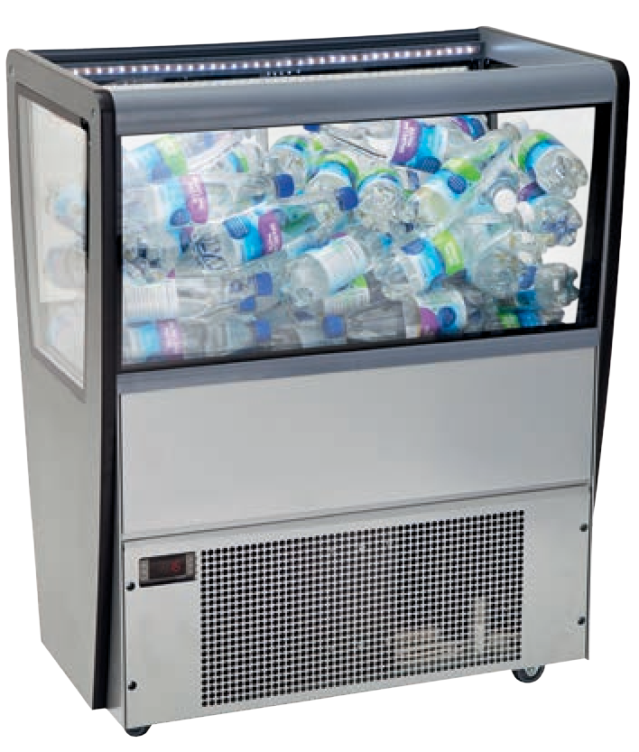 SG-Promo IS2 Promoter